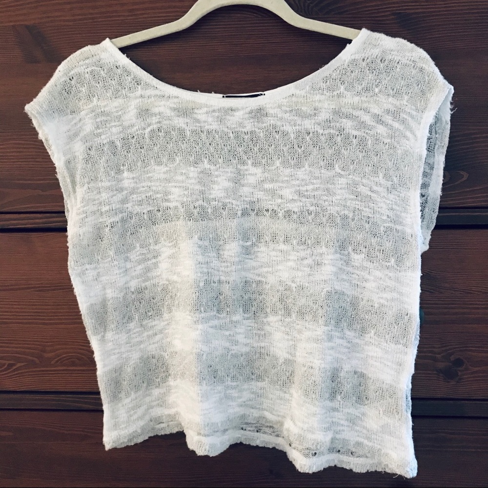 Shimmering sheer mesh crop top
